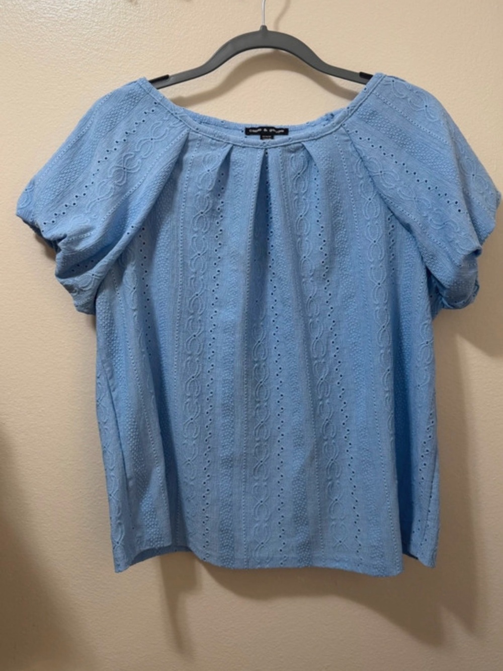 Cable & Gauge Light Blue Eyelet Puff Sleeve Top